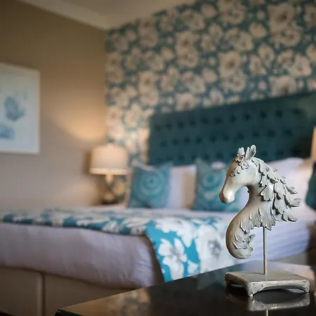 Clanard Court Hotel 4*