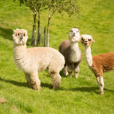 Clanard Court Hotel Athy