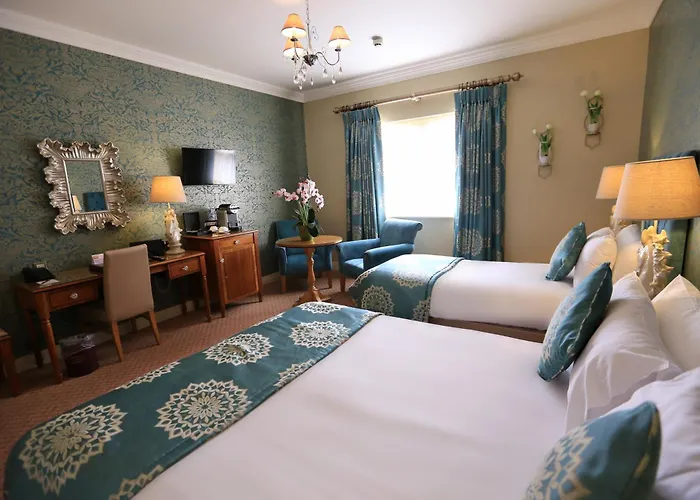 Clanard Court Отель Атай